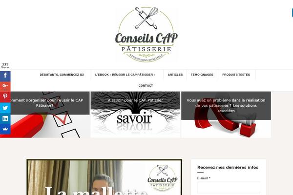 Ashe theme site design template sample
