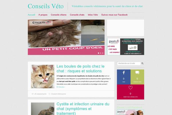 Site using Wpconnect-gf-sendinblue plugin