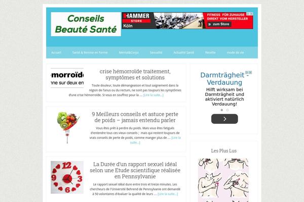 Lifestyle Pro theme site design template sample