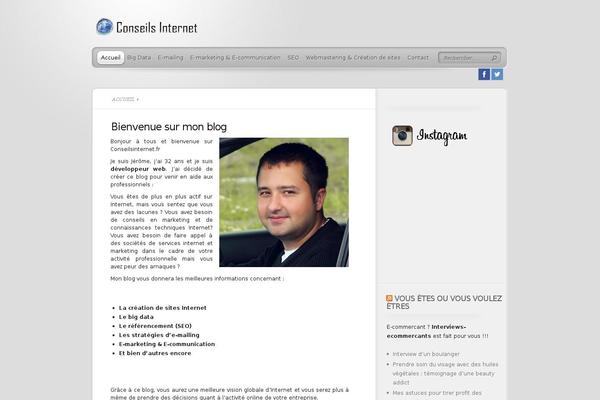TheProfessional theme site design template sample