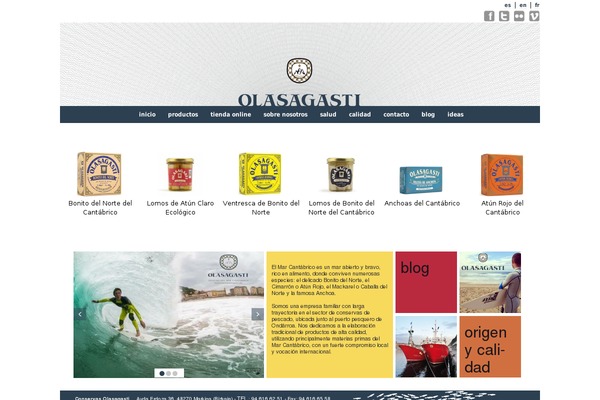 conservasolasagasti.com site used Nexus3