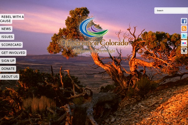 simpolio theme websites examples