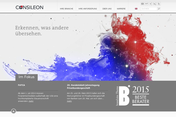 consileon theme websites examples