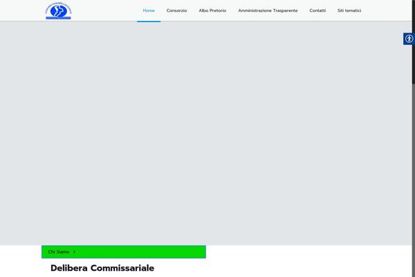 Site using Real Accessability plugin