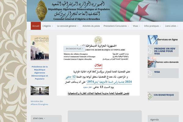 Candidate theme site design template sample