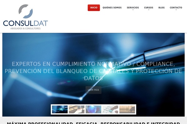 consuldat.com site used Theme47927