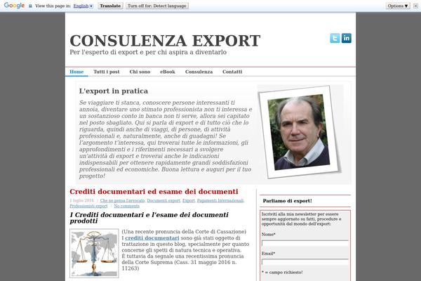 Smallbiz theme site design template sample