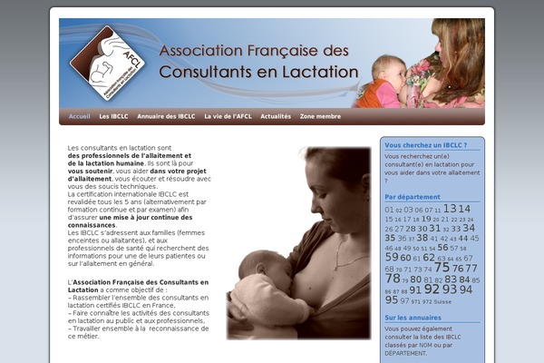 Site using Helloasso plugin