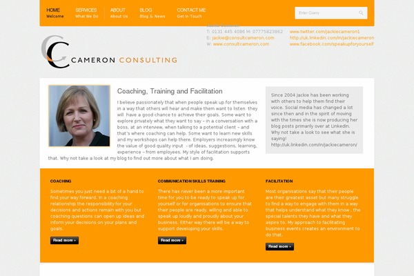 consultcameron.com site used Alternatewp