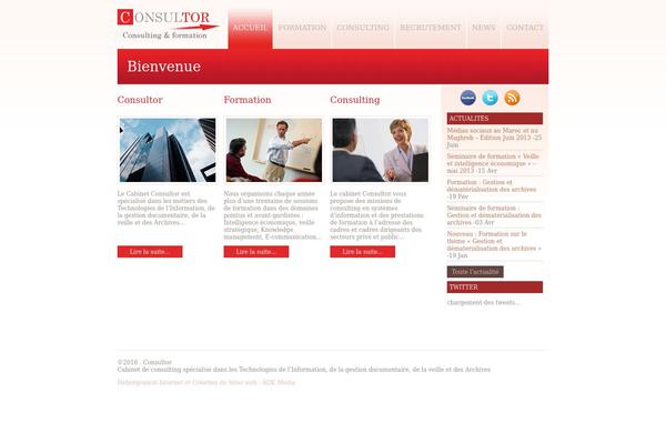 Consultor theme site design template sample