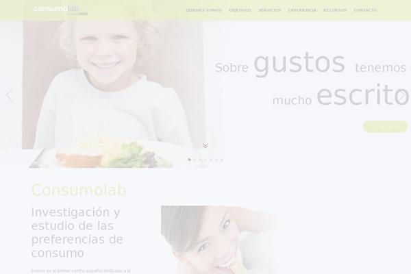 Mobius-child theme site design template sample