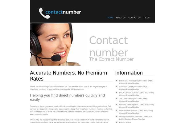 Site using Social Networks Widget plugin