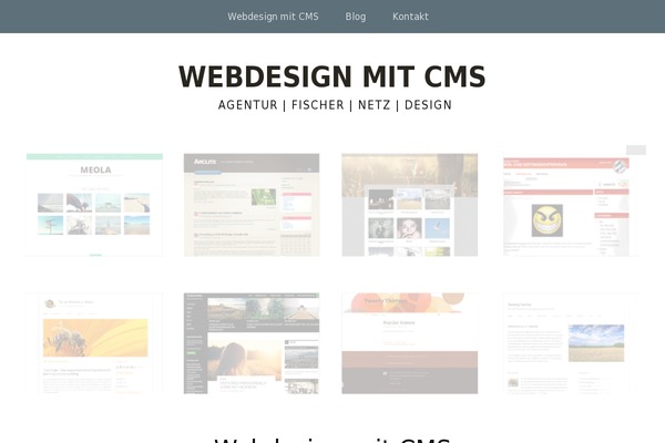 Meola theme site design template sample