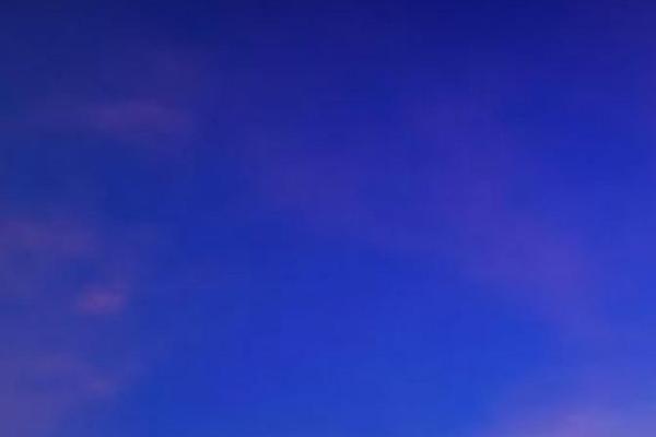 Everything theme site design template sample