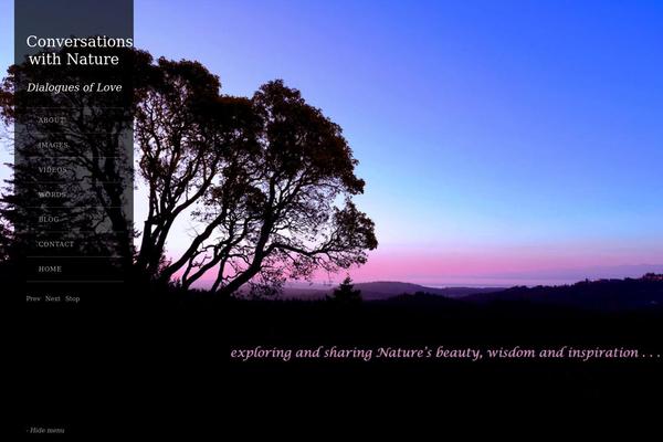 Widescreen theme site design template sample