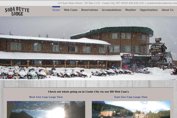 Site using Netcam / Webcam Live Stream plugin