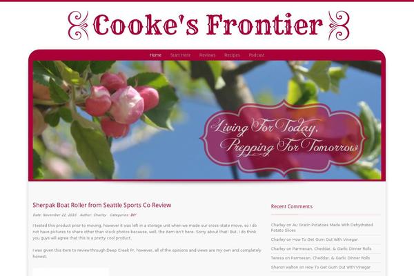 Preference Lite theme site design template sample