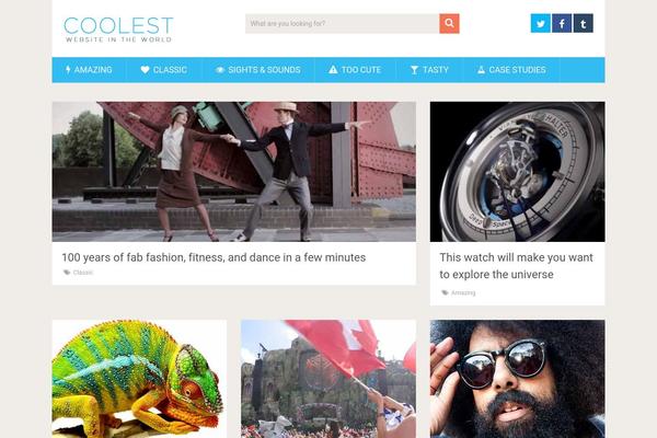 SociallyViral theme site design template sample