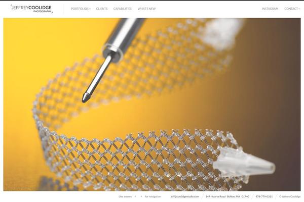 Fluxus theme site design template sample