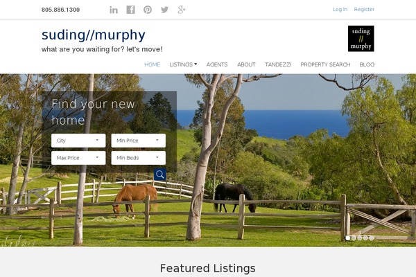 Chicago theme site design template sample