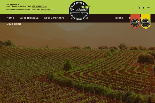 Linguini theme site design template sample