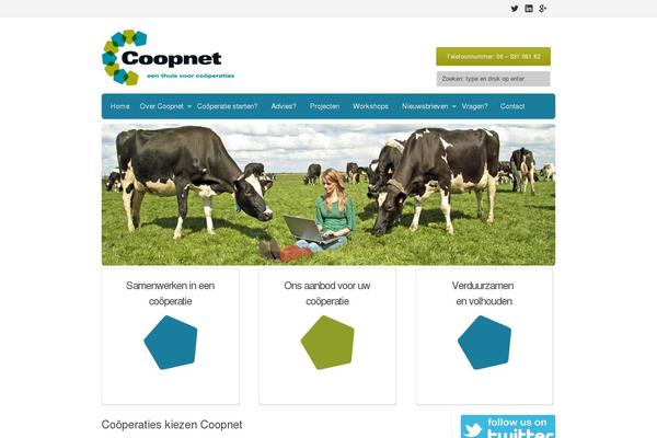 Site using Twiget Twitter Widget plugin
