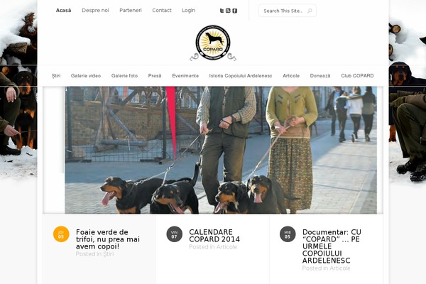 Dodo theme site design template sample