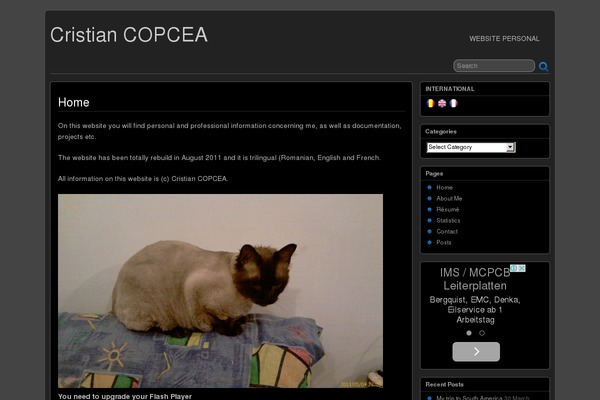 Site using Adsense Widget plugin