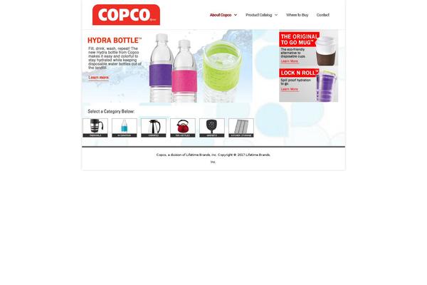 Divi Child theme site design template sample