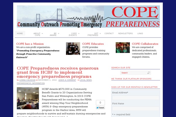 PlatformPro theme site design template sample