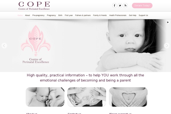 DonateNow theme site design template sample