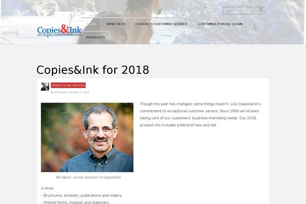 Performag theme site design template sample