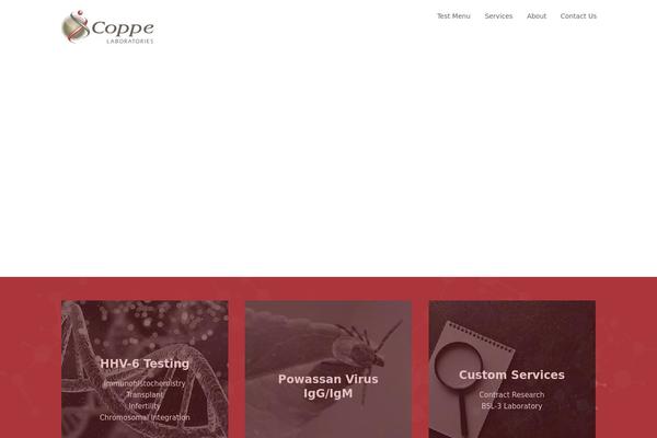 Site using Socialsnap plugin