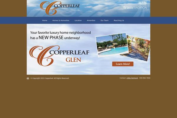 Cleanwide theme site design template sample