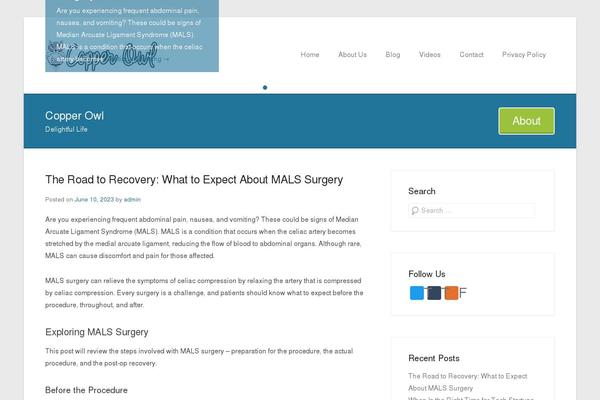 Site using WP Subscribe plugin