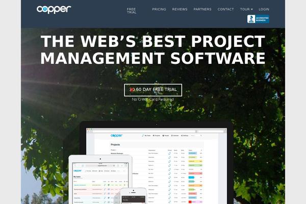 Copper theme site design template sample