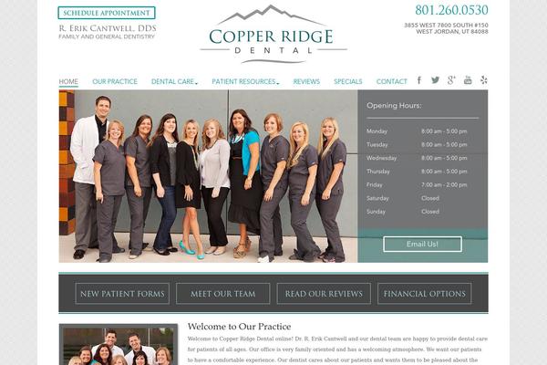 Custom5 theme site design template sample