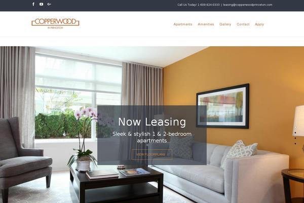 Avada Child theme site design template sample