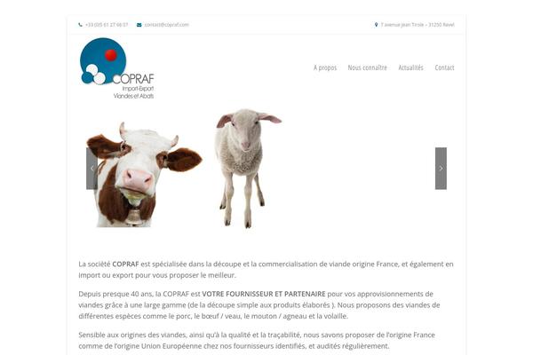 Site using Total-theme-core plugin