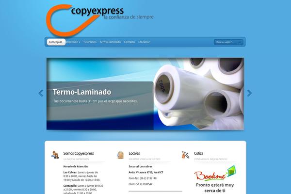 TheProfessional theme site design template sample