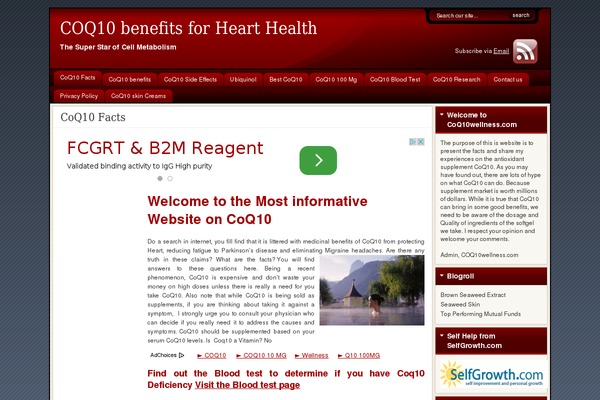 Flexibility3 theme site design template sample