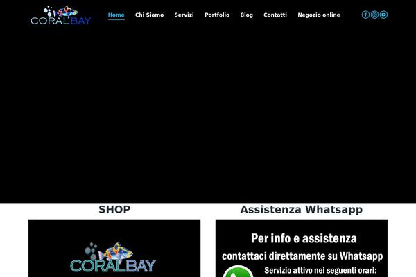 Site using Mailchimp-for-woocommerce plugin