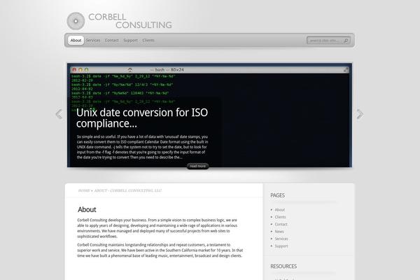 TheProfessional theme site design template sample