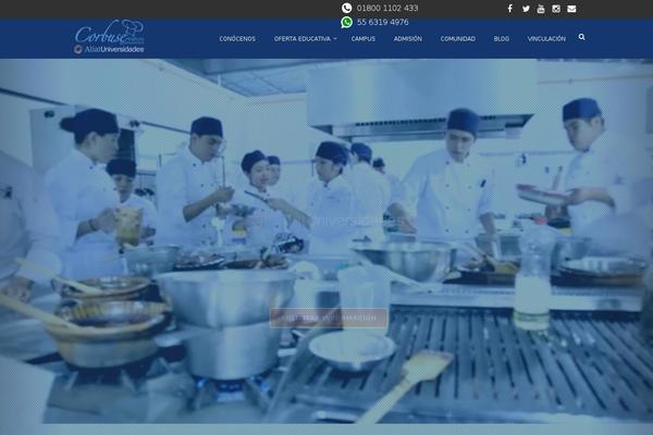 Site using Simple Facebook Page Widget & Shortcode plugin