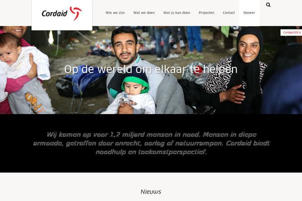 Site using Searchwp plugin