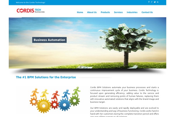 cordistech.com site used Concept