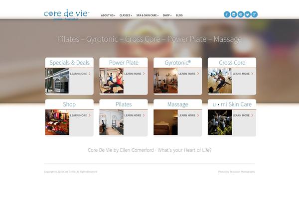 Site using Codecanyon-3618531-social-sprites-icons-widget plugin