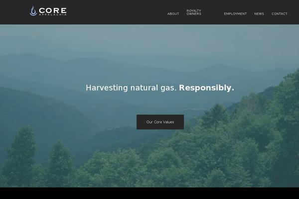 Parallax Pro theme site design template sample