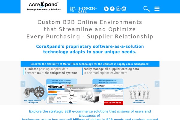 corexpand.com site used Cxblog