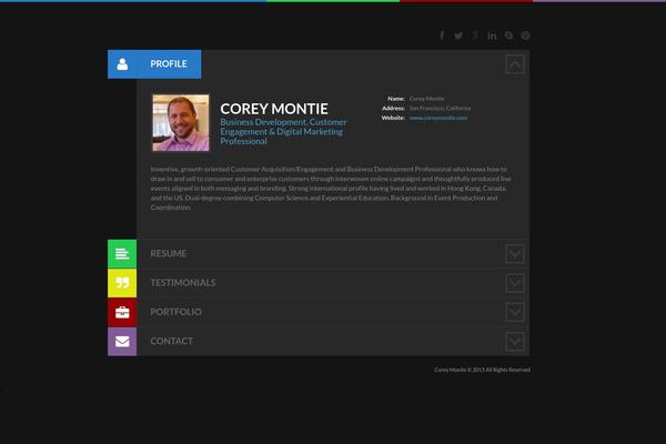 Cv theme site design template sample